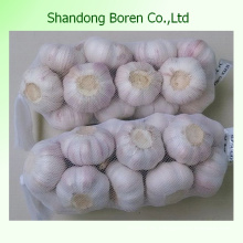 100% Natur Frischer Knoblauch aus China